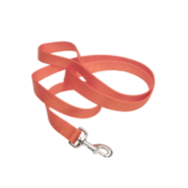 Coastal Nylon Leads 1"***Sale****