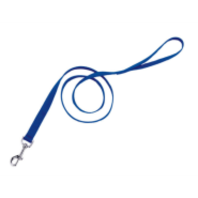 Coastal Nylon Leads 1"***Sale****