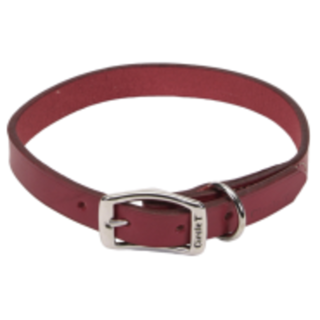 Coastal Leather Collar***Clearance****