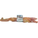 Open Range Tendon