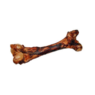 Open Range Dino Bone****Clearance****