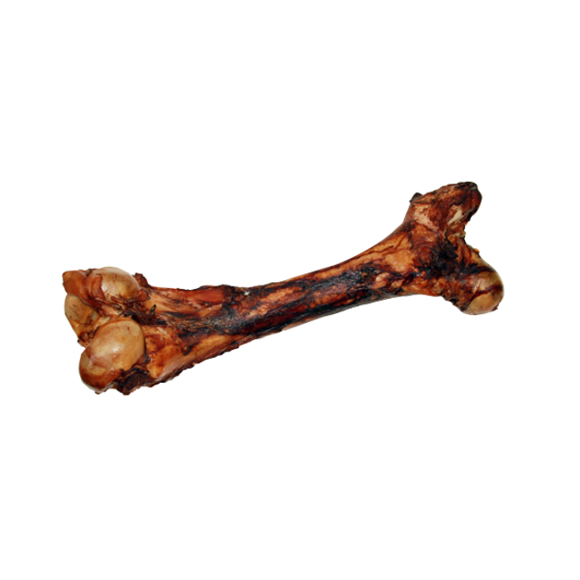 Open Range Dino Bone