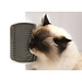 Cat It Self Groomer