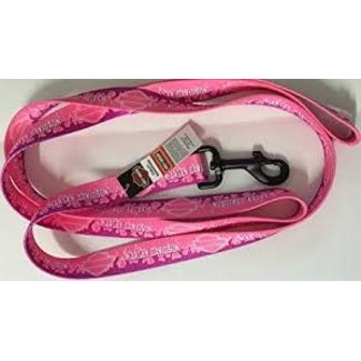 Coastal 6' Harley Davidson Pink Flames Leash***On Sale****