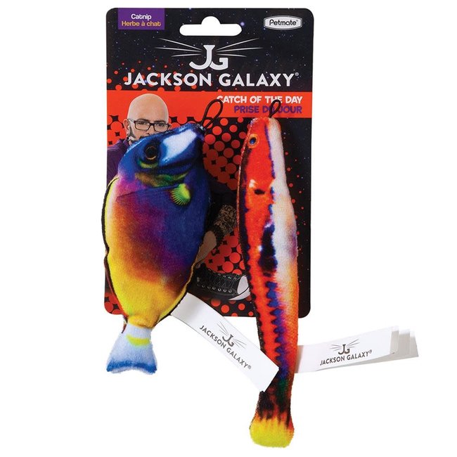 Jackson Galaxy Catch of the Day ***On Sale***