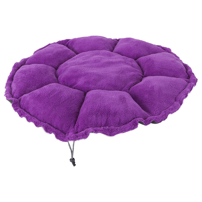 Jackson Galaxy Purple Clamshell Bed
