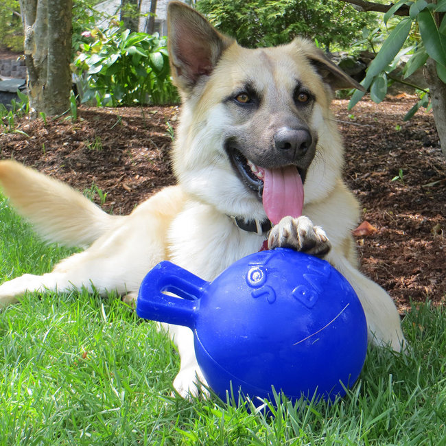 Jolly Pets Tug & Toss***On Sale****