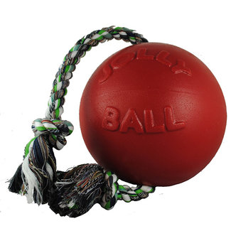 Jolly Pets Romp & Roll***On Sale****