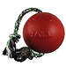 Jolly Pets Romp & Roll***On Sale****