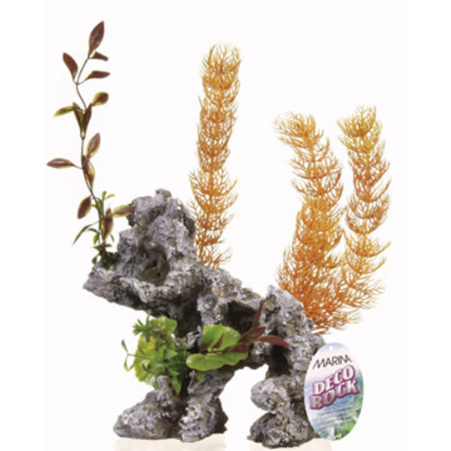 Marina X-Large Rock***Clearance****