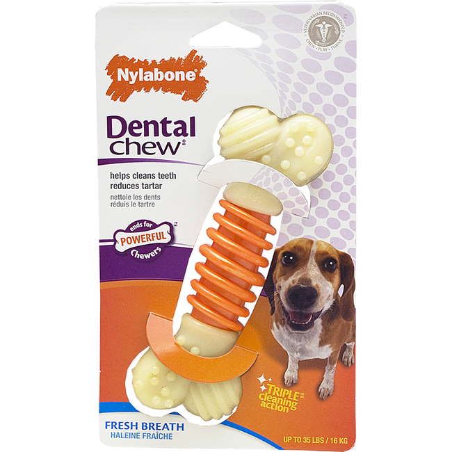 Nylabone Med Bacon Dental Chew****On Sale****