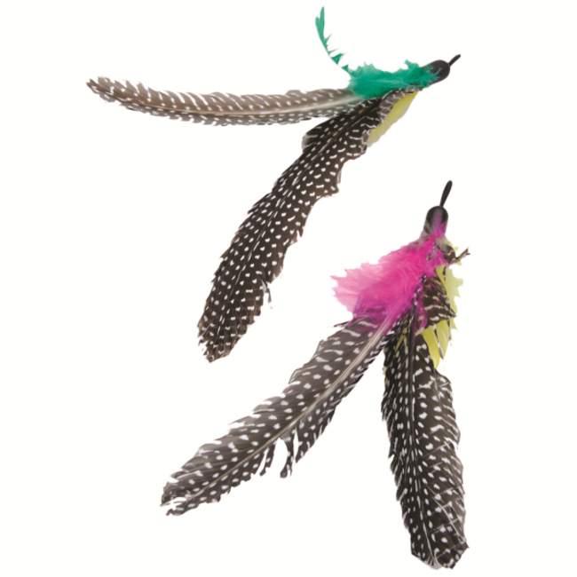 Coastal 2 Packs Replacement Feathers