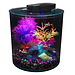 Marina iGlo Aquarium Kit - 10 L/2.65 gal