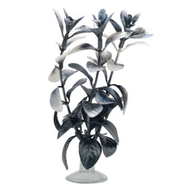 Marina Ludwigia Plant With Suction Cup  5"***On Sale****