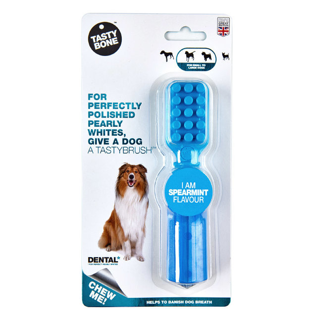 Tasty Bone Spearmint Nylon Tasty Brush***Clearance****