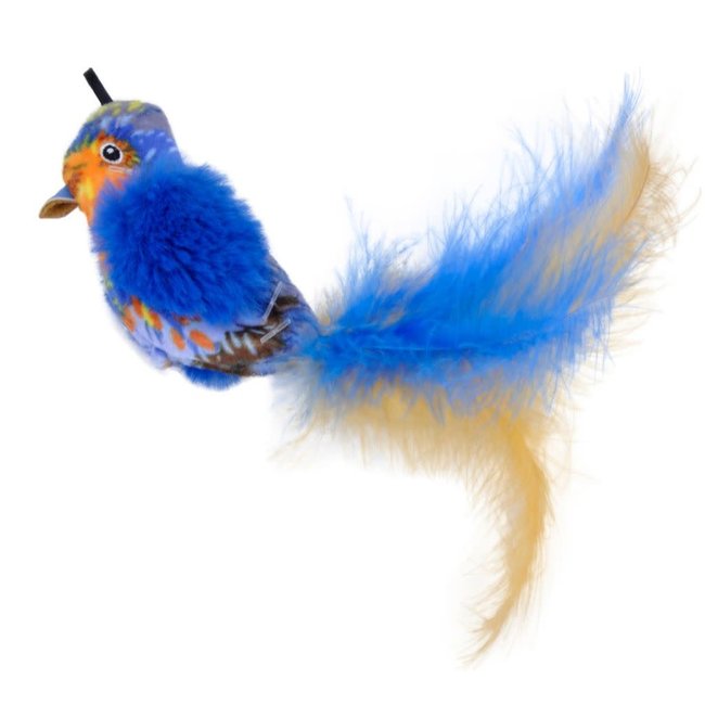 Coastal Blue Bird****Clearance***
