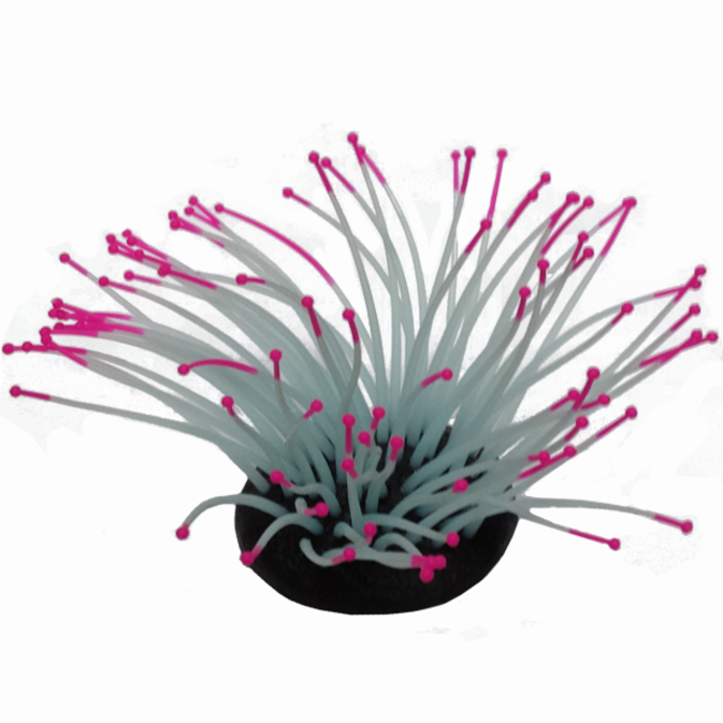 Sporn Anemone Orange Tip Glow in the Dark***Clearance****
