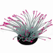 Sporn Anemone Orange Tip Glow in the Dark***Clearance****