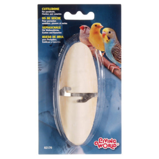 Living World Cuttlebone with Holder***Clearance****