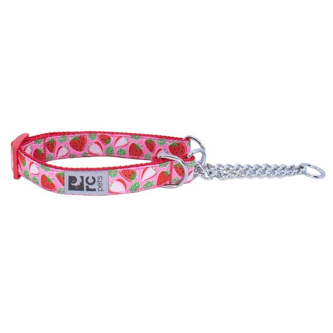 RC Pets Fruit & Flower Patterned Training Collars
