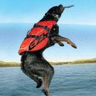 Ezy Dog DFD X2 Boost Dog Flotation Device