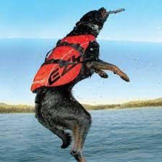 Ezy Dog DFD X2 Boost Dog Flotation Device***Clearance***