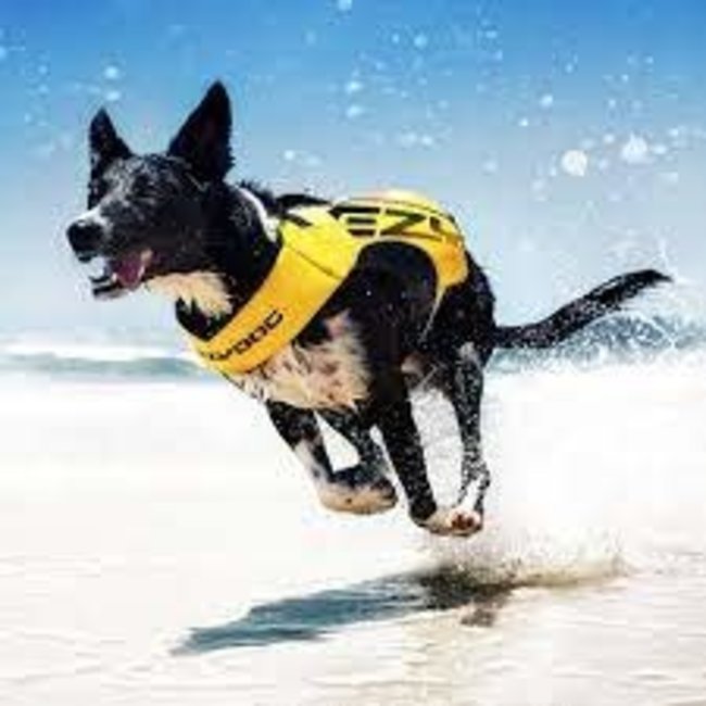 Ezy Dog DFD X2 Boost Dog Flotation Device**Clearance***