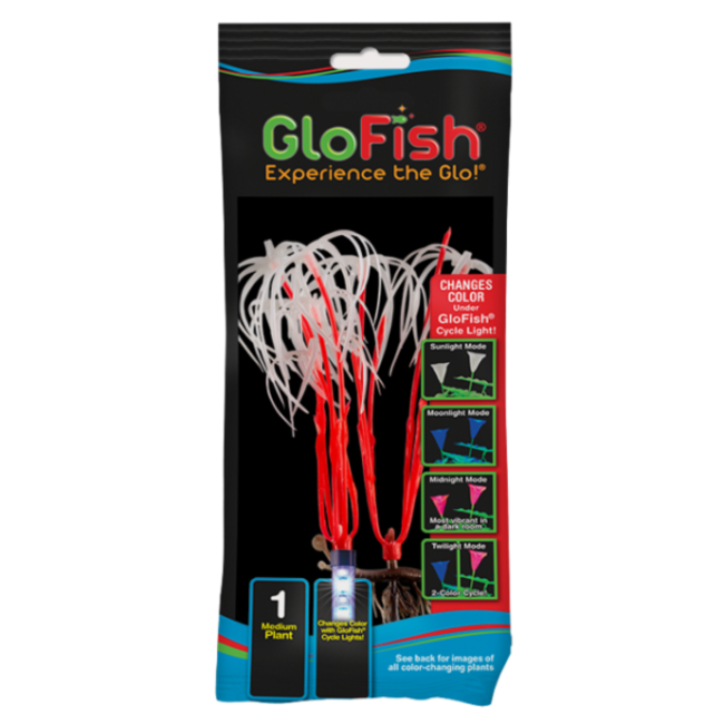 GloFish Medium Orange Plant***On Sale****