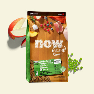 Now Fresh Kitten****Clearance*****