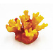 Aqua Fit 2x2x1.75" Coral****On Sale****