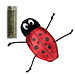 Kong Refillable Ladybug****On Sale****