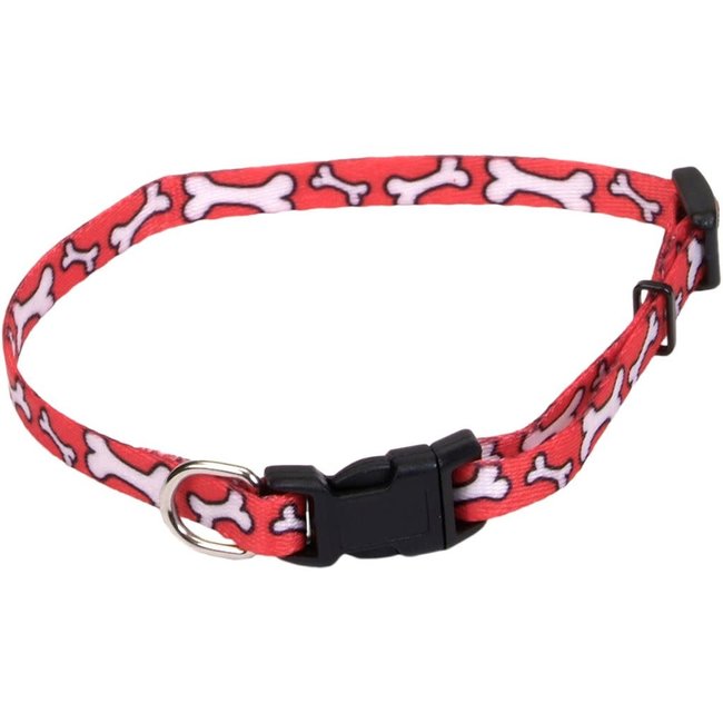 Coastal 8" Red Bone Collar