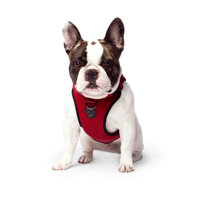 Canada Pooch Everything Red Harness
