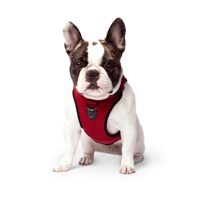 Canada Pooch Everything Red Harness****Clearance****