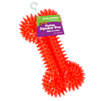 Gnawsome Squeaker Bone