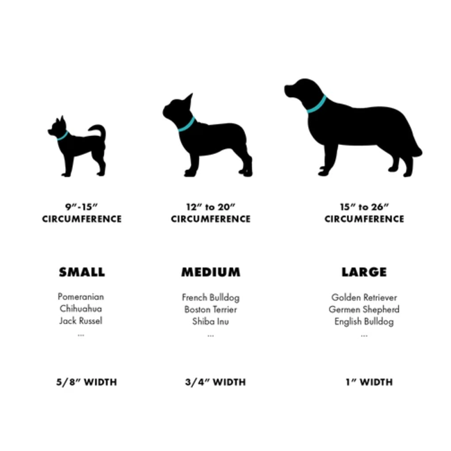 Woof Concept Collar****Clearance***