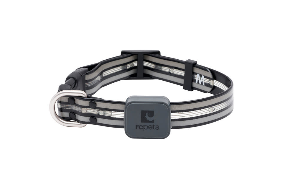 Nova LED Light Collar Kootenay Pet Stop