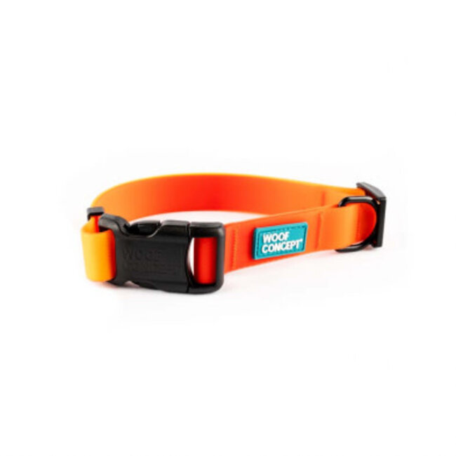 Woof Concept AQUA  Collar****Clearance****