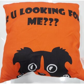 Unleashed R U Looking for Me Pillow****Clearance****