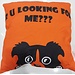 Unleashed R U Looking for Me Pillow****Clearance****