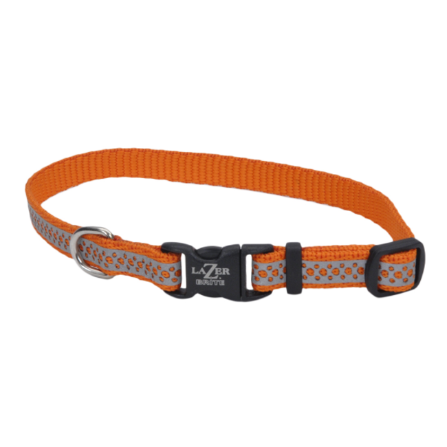 Coastal Reflective Collars***Sale****