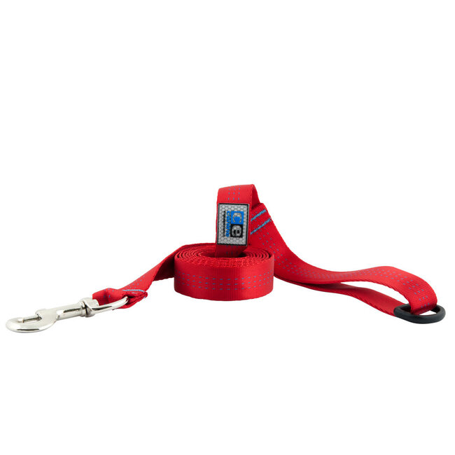 RC Pets Traffic Leash***Clearance****