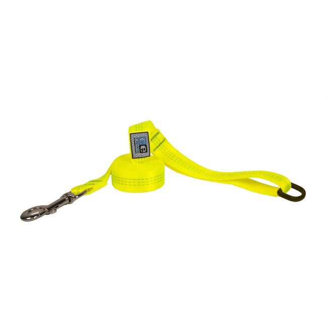 RC Pets Traffic Leash***Clearance****