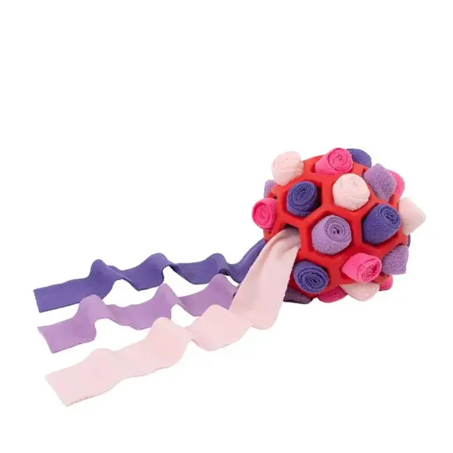 Brookbrand Pets Snuffle Ball
