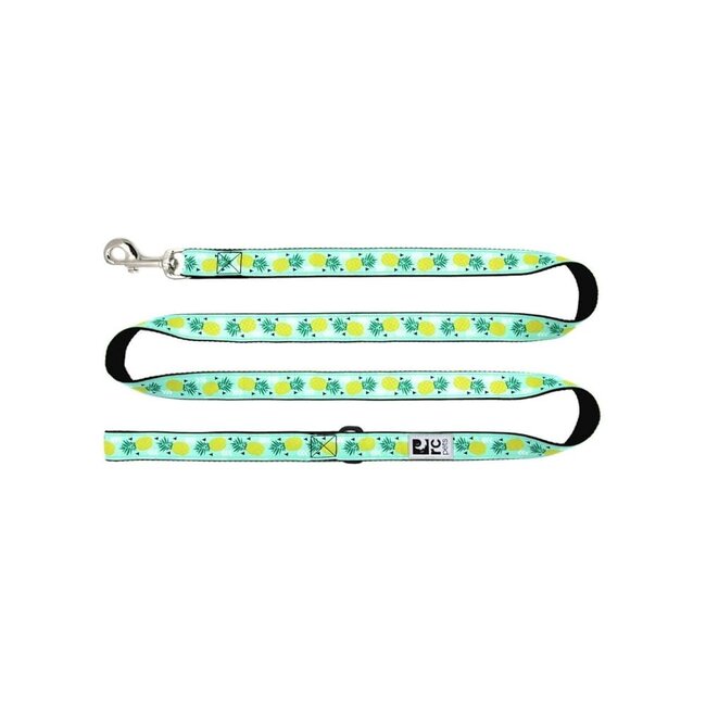 RC Pets Pineapple Leash 3/4"x4'****Clearance****