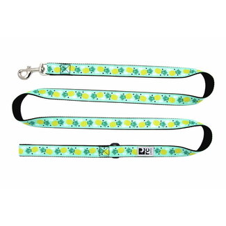 RC Pets Pineapple***Sale*****