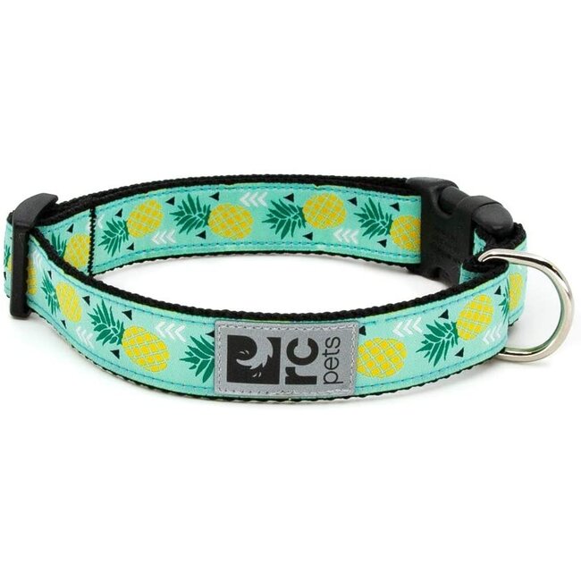 RC Pets Pineapple***50% off, Clearance*****