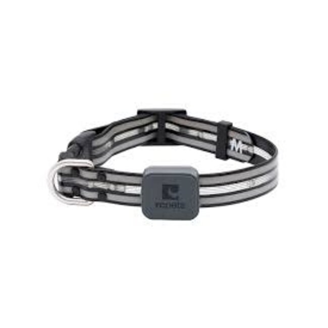 RC Pets LED Light Collar***Clearance****