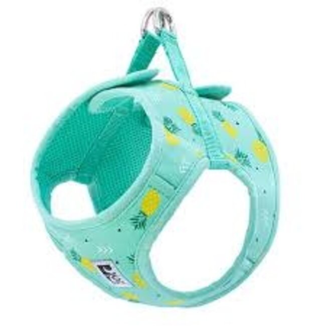 RC Pets Step in  Pineapple Harness****Clearance****