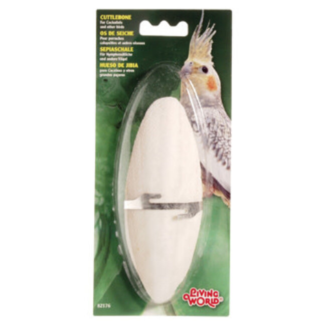 Living World Cuttlebone with Holder***Clearance****